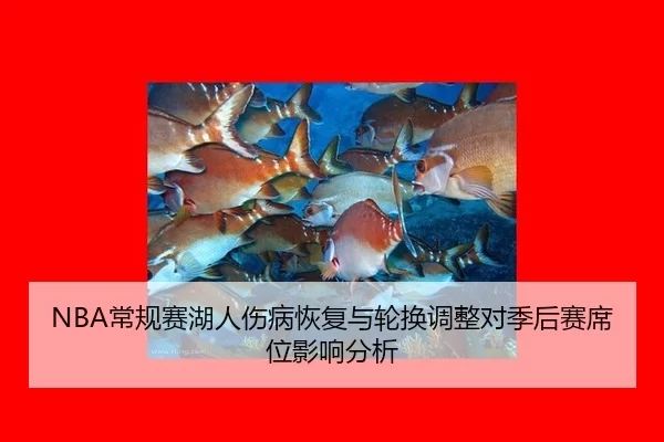 chang-gui-sai-hu-ren-shang-bing-hui-fu-yu-lun-huan-tiao-zheng-dui-ji-hou-sai-xi-wei-ying-xiang-fen-xi-2-446.jpg